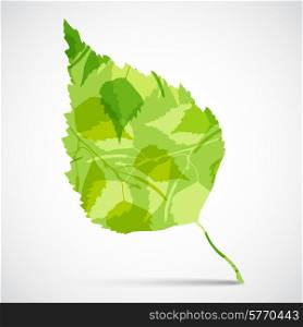 Concept background of green birch leaf.