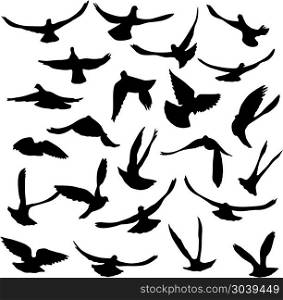 Concept of love or peace. Set of silhouettes of doves. Concept of love or peace. Set of silhouettes of doves.