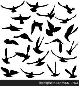 Concept of love or peace. Set of silhouettes of doves. Concept of love or peace. Set of silhouettes of doves.