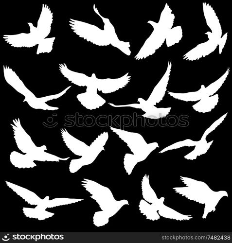 Concept of love or peace. Set silhouettes doves.