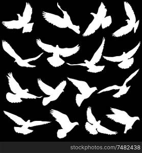 Concept of love or peace. Set silhouettes doves.