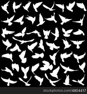 Concept of love or peace. Set silhouettes doves. Vector illustration. Concept of love or peace. Set silhouettes doves. Vector illustration.