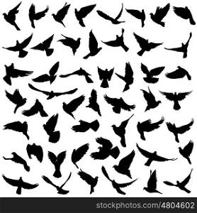 Concept of love or peace. Set silhouettes doves. Vector illustration. Concept of love or peace. Set silhouettes doves. Vector illustration.