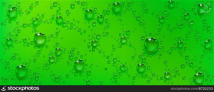 Condensation water drops on green background. Rain droplets with light reflection, bubbles fizz, abstract wet texture, scattered pure aqua blobs pattern, horizontal backdrop, Realistic 3d vector. Condensation water drops on green background, rain