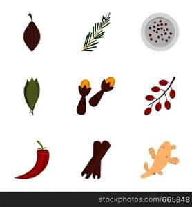 Condiment icon set. Flat set of 9 condiment vector icons for web isolated on white background. Condiment icon set, flat style