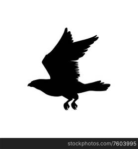 Condor in flight isolated bird silhouette. Vector flying eagle or falcon, heraldry mascot symbol. Bird silhouette in flight isolated eagle or falcon