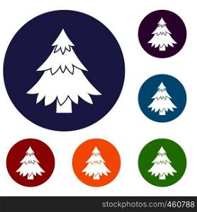 Coniferous tree icons set in flat circle reb, blue and green color for web. Coniferous tree icons set