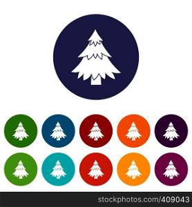 Coniferous tree set icons in different colors isolated on white background. Coniferous tree set icons