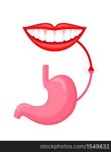 Connection between human mouth and stomach concept. The mouth is connected to the stomach through the throat and the esophagus. Vector Illustration design isolated on white background.