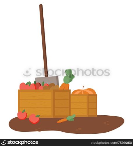 Containers with food vector, isolated wooden boxes with healthy meal, carrots and tomatoes, apples and pumpkin, sharp shovel in ground agriculture. Harvesting Season, Gathered Food in Containers