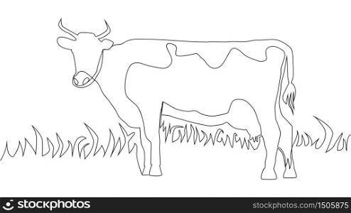continuous line A beautiful cow is standing. Drawing black thin line on white background.. continuous line A beautiful cow is standing. Drawing black thin line on white background