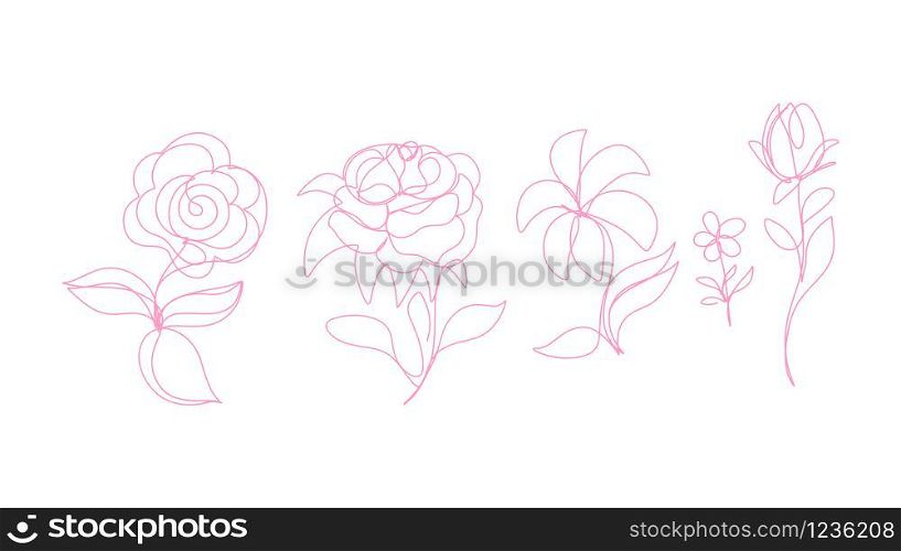 Continuous line art, hand drawn flowers set.