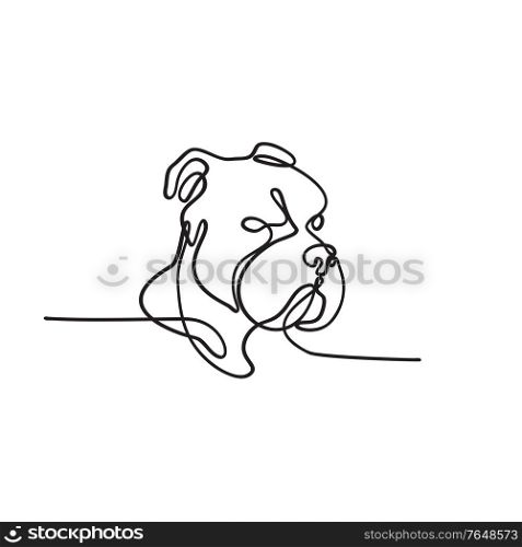 Continuous line drawing illustration head of a bully dog breed such as American Pit Bull Terrier, English Bulldog, Bull Mastiff or Bull Terrier done in sketch or doodle style. . Bully Dog Breed American Pit Bull Terrier English Bulldog Bull Mastiff or Bull Terrier Continuous Line Drawing