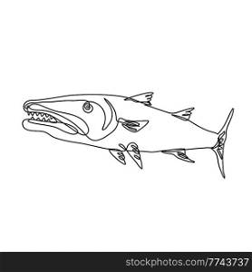 Continuous line drawing illustration of a barracuda or cuda, a large predatory, ray-finned fish viewed from side done in mono line or doodle style in black and white on isolated background. . Barracuda or Cuda Predatory Ray-Finned Fish Viewed from Side Continuous Line Drawing  