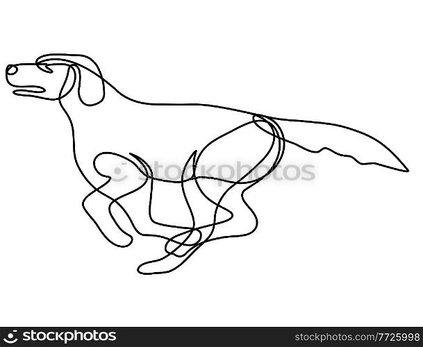 Continuous line drawing illustration of a Labrador Retriever dog running side view done in mono line or doodle style in black and white on isolated background. . Labrador Retriever Dog Running Side View Continuous Line Drawing