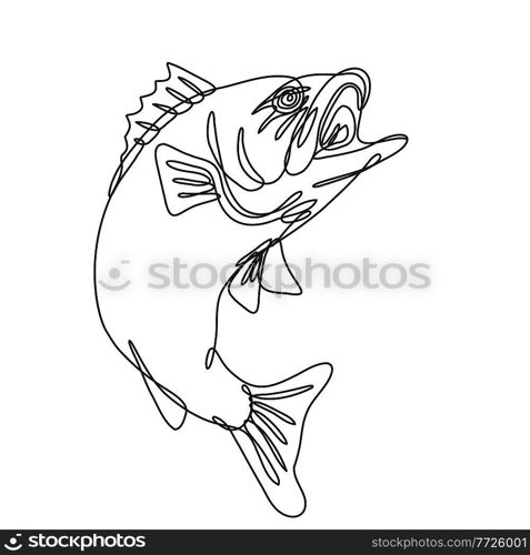 Continuous line drawing illustration of a largemouth bass jumping up done in mono line or doodle style in black and white on isolated background. . Largemouth Bass Jumping Up Continuous Line Drawing  