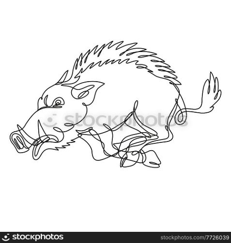 Continuous line drawing illustration of a razorback wild boar running attacking side view  done in mono line or doodle style in black and white on isolated background. . Razorback Wild Boar Running Attacking Side View Continuous Line Drawing  