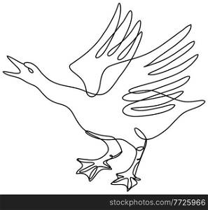 Continuous line drawing illustration of an angry goose about to attack done in mono line or doodle style in black and white on isolated background. . Angry Goose About to Attack Side View Continuous Line Drawing  