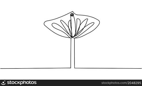 continuous line drawing of beautiful flower Calla.. continuous line drawing of beautiful flower Calla