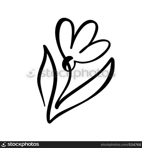 Continuous line hand drawing calligraphic vector flower concept logo organic. Scandinavian spring floral design element in minimal style. black and white.. Continuous line hand drawing calligraphic vector flower concept logo organic. Scandinavian spring floral design element in minimal style. black and white