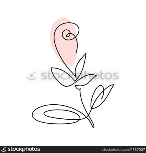 Continuous line hand drawing calligraphic vector flower rose concept logo beauty. Monoline spring floral design element in minimal style. Valentine love concept.. Continuous line hand drawing calligraphic vector flower rose concept logo beauty. Monoline spring floral design element in minimal style. Valentine love concept