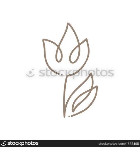 Continuous line hand drawing calligraphic vector flower tulip concept logo beauty. Monoline spring floral design element in minimal style. Valentine love concept.. Continuous line hand drawing calligraphic vector flower tulip concept logo beauty. Monoline spring floral design element in minimal style. Valentine love concept