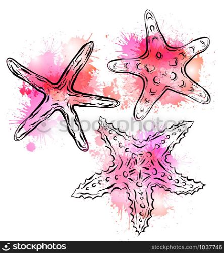 Contour black and white illustration of starfish with pink watercolor splashes. The object is separate from the background. Linear illustration for printing on T-shirts, covers, sketches of tattoos and your design.. Contour black and white illustration of starfish with pink watercolor splashes. The object is separate from the background.
