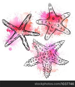 Contour black and white illustration of starfish with pink watercolor splashes. The object is separate from the background. Linear illustration for printing on T-shirts, covers, sketches of tattoos and your design.. Contour black and white illustration of starfish with pink watercolor splashes. The object is separate from the background.