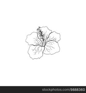 Contour engraving lily bud. Black and white line art decoration of flower with leaves. Vector isolated clipart. Minimal monochrome hand drawing botanical design.. Black and white line art decoration of flower with leaves. Vector isolated clipart. Minimal monochrome hand drawing botanical design. Contour engraving bud.