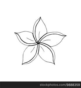 Contour engraving Plumeria bud. Black and white line art decoration of flower with leaves. Vector isolated clipart. Minimal monochrome hand drawing botanical design.. Black and white line art decoration of flower with leaves. Vector isolated clipart. Minimal monochrome hand drawing botanical design. Contour engraving bud.