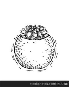Contour illustration of succulent cactus in a pot with stones with hatching. Engraved picture of a home plant for interior decoration. Vector sketch for cards, banners, stickers and your creativity.. Contour illustration of succulent cactus in a pot with stones with hatching. Engraved picture of a home plant for interior decoration. Vector sketch