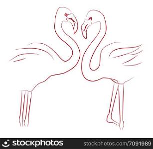 Contour illustration of two lovers flamingos. Love. Vector element for your creativity. Contour illustration of two lovers flamingos. Love. Vector eleme
