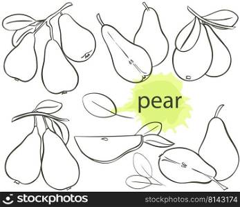 Contour ima≥pear on tree, parts and folia≥vector. Col≤ction black hand en`d pears on white background. Sketch fruit organic hea<hy∏ucts. Bunch food harvest. Contour ima≥pear on tree, parts and folia≥vector