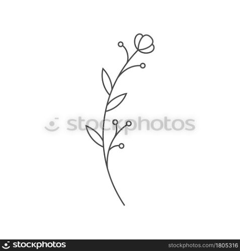 Contour of hand drawn flowers. Floral elements for creative and graphic design, prints, decoration, scrapbooking. Flat style