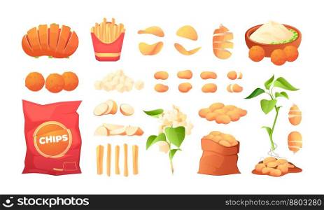 Cooked potato. Chips french fries baked boiled tuberous fast food vegetarian dish, vegetable garnish with sauces flat cartoon style. Vector colorful set of fried and baked cooking illustration. Cooked potato. Chips french fries baked boiled tuberous fast food vegetarian dish, vegetable garnish with sauces flat cartoon style. Vector colorful set