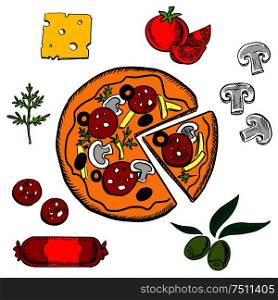 Cooked sliced italian pizza with salami, herbs, tomato, cheese, mushrooms and olives ingredients. Sliced italian pizza with ingredients