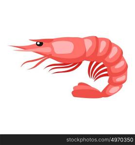 Cooked tiger shrimp. Isolated illustration of seafood on white background. Cooked tiger shrimp. Isolated illustration of seafood on white background.