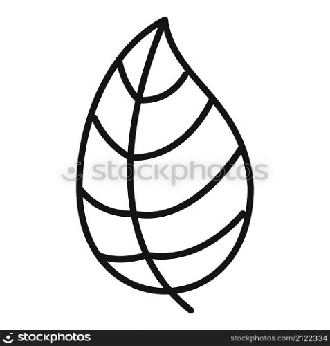 Cooking basil icon outline vector. Herb leaf. Spice plant. Cooking basil icon outline vector. Herb leaf