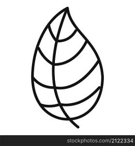 Cooking basil icon outline vector. Herb leaf. Spice plant. Cooking basil icon outline vector. Herb leaf
