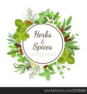 Cooking herbs banner. Cartoon culinary condiment botanical poster with green dill and basil. Aromatic bay leaf or oregano. Mint stems. Lavender and tarragon twigs. Herbal spices. Vector illustration. Cooking herbs banner. Cartoon culinary condiment botanical poster with dill and basil. Aromatic bay leaf or oregano. Mint stems. Lavender and tarragon. Herbal spices. Vector illustration