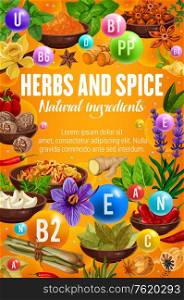 Cooking spices, seasonings and herbs, culinary natural ingredients. Vector organic farm garlic, pepper and basil, garden celery and savory spice, spinach and arugula herb, ginger and vanilla flavoring. Herbs and spices, organic cooking ingredients