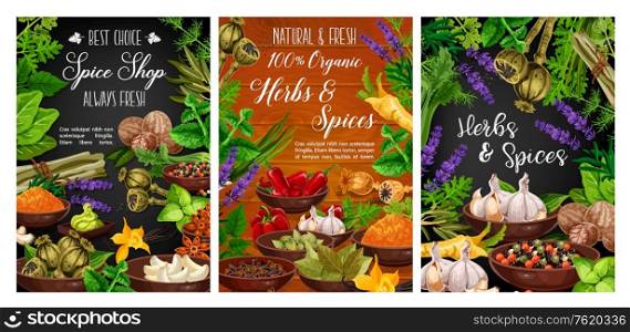 Cooking spices, seasonings and herbs farm shop posters. Vector organic garlic, pepper and basil, celery and savory herbs, spinach and arugula, herbal condiments and natural culinary ingredients. Herbs and spices, organic cooking spice shop