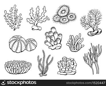 Coral drawing doodle set. Vector illustration
