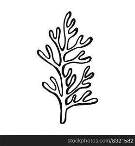 Coral. Hand drawn illustration converted to vector.