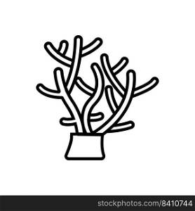 coral reef icon vector illustrstion symbol design