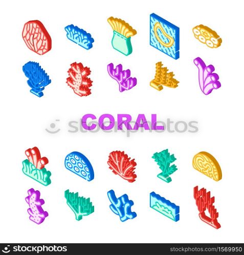 Coral Sea Aquatic Reef Collection Icons Set Vector. Natural Marine Water Coral Flora, Ocean Underwater Nature Plant Seaweed Algae Isometric Sign Color Illustrations. Coral Sea Aquatic Reef Collection Icons Set Vector