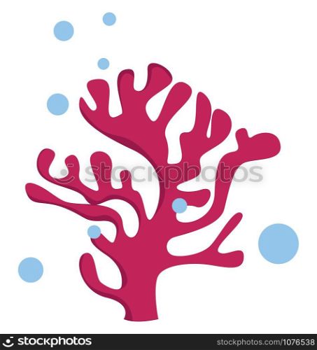 Corals, illustration, vector on white background.