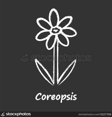 Coreopsis chalk icon. Rudbeckia garden flower with name inscription. Calliopsis plant inflorescence. Blooming daisy, camomile wildflower. Isolated vector chalkboard illustration