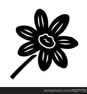 Coreopsis glyph icon. Rudbeckia garden flower. Calliopsis plant. Blooming daisy, camomile wildflower. Silhouette symbol. Negative space. Vector isolated illustration