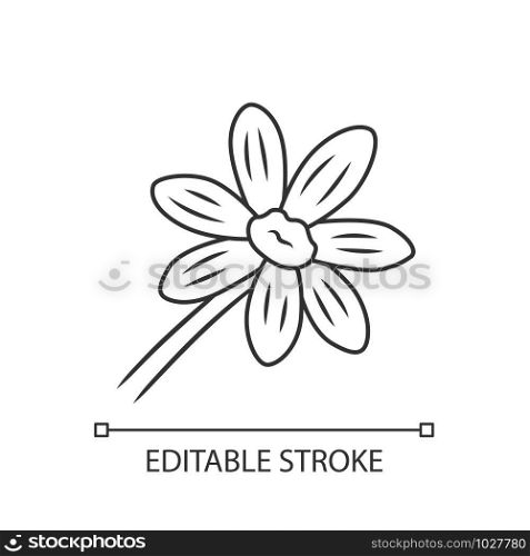 Coreopsis linear icon. Thin line illustration. Rudbeckia garden flower. Calliopsis plant. Blooming daisy, camomile wildflower. Contour symbol. Vector isolated outline drawing. Editable stroke